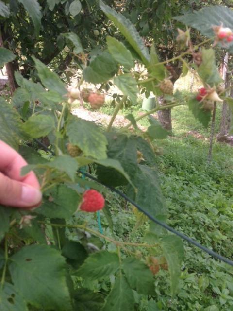 Agriturismo I Due Regni Petrella Salto Bagian luar foto